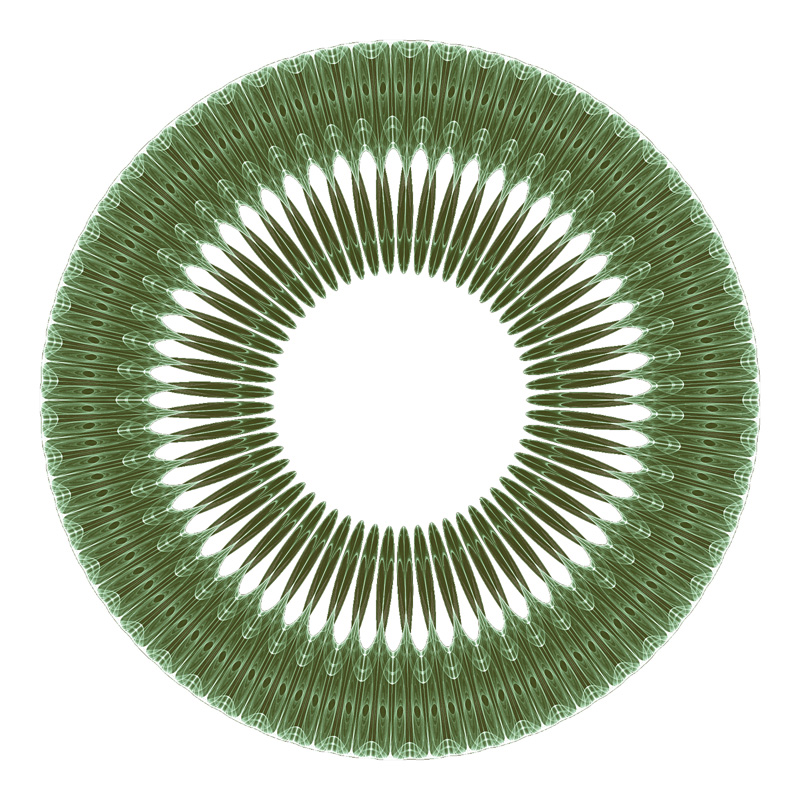 Sunflower symmetric icon