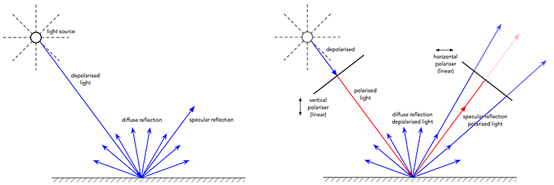 Murten panorama cross polarisation
