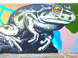 Western Australia street art