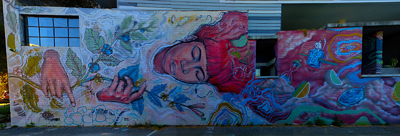 Western Australia street art