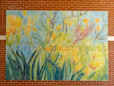 Western Australia street art