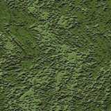texture: bark25