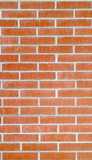 texture: brick51