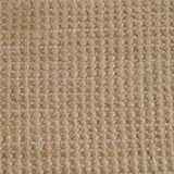 texture: carpet14