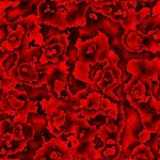 texture: plasma4