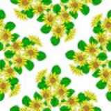 texture: daisydiamonds