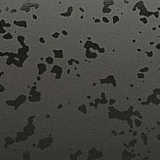 texture: fossil_reflecta