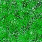 texture: grass23