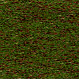 texture: grass40
