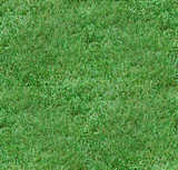 texture: grass42