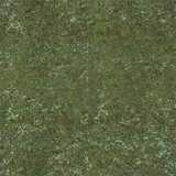 texture: grass_ground1