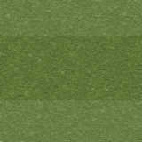 texture: golffairway1
