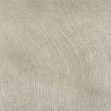 texture: beryl_brush