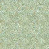 texture: forest_boa