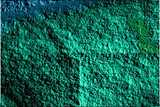 texture: mold