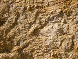 texture: mud4