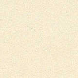 texture: rice_paper