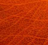 texture: humanskin1