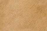 texture: leather3