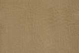 texture: skin21