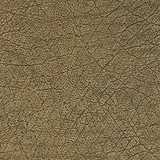 texture: skintile12