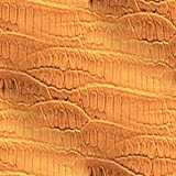 texture: skintile4
