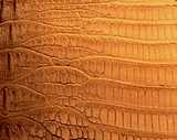 texture: snake1