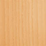 texture: ash_european