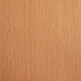 texture: beuropean_beech