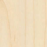 texture: manitoba_maple