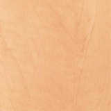 texture: native_pear