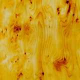 texture: englishyew